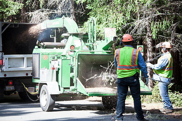 Best Grass Overseeding  in Pueblo, CO